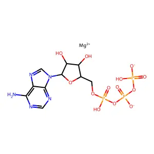 Magnesium ATP structure