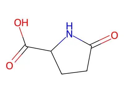 DL-Pyroglutamic acid structure