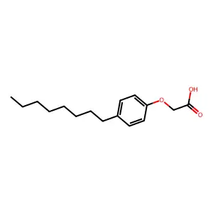 Compound C16H24O3 structure
