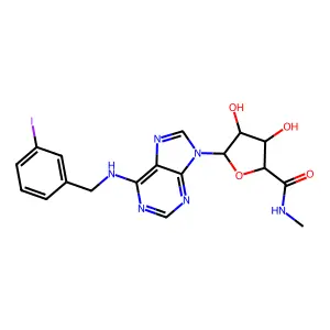 IB-MECA structure