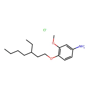 m-ANISIDINE, 4-((3-ETHYLHEPTYL)OXY)-, HYDROCHLORIDE structure