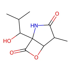 1-(1-hydroxy-2-methylpropyl)-4-methyl-6-oxa-2-azabicyclo[3.2.0]heptane-3,7-dione structure