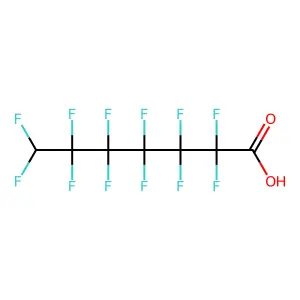2,2,3,3,4,4,5,5,6,6,7,7-Dodecafluoroheptanoic acid structure
