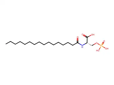 L-NASPA structure