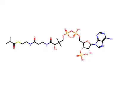 isobutyryl-coenzyme A structure