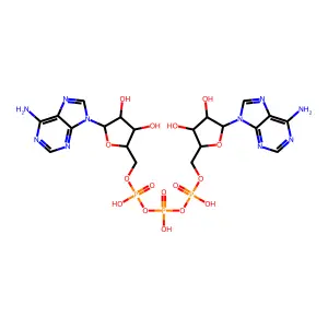 bis[[5-(6-aminopurin-9-yl)-3,4-dihydroxyoxolan-2-yl]methoxy-hydroxyphosphoryl] hydrogen phosphate structure
