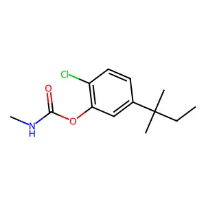 RE 5454 structure