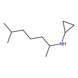 N-(6-methylheptan-2-yl)cyclopropanamine structure