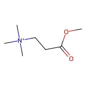 Compound C7H16NO2+ structure