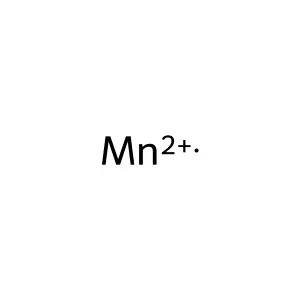 Manganese(2+) structure