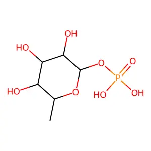 beta-L-fucose 1-phosphate structure