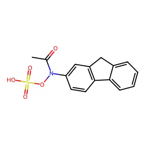 2-Acetylaminofluorene-N-sulfate structure