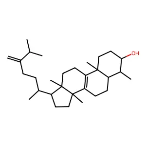 Obtusifoliol structure