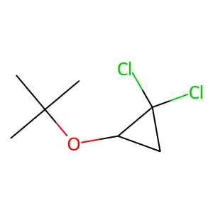 1,1-dichloro-2-[(2-methylpropan-2-yl)oxy]cyclopropane structure