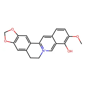 Berberrubine structure