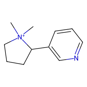 N'-Methylnicotinium structure