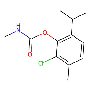 CARBAMIC ACID, METHYL-, 6-CHLOROTHYMYL ESTER structure