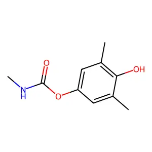 Compound C10H13NO3 structure