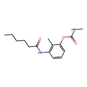 m-(2-Methylhexanamido)phenyl methylcarbamate structure