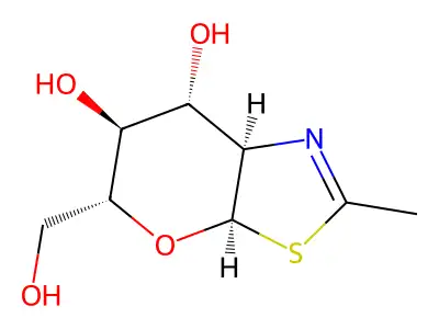 NAG-thiazoline structure
