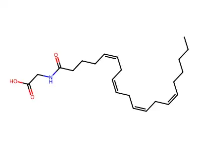 NAGly structure