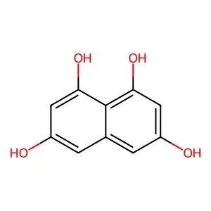1,3,6,8-Tetrahydroxynaphthalene structure