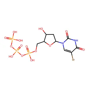 Brdutp structure
