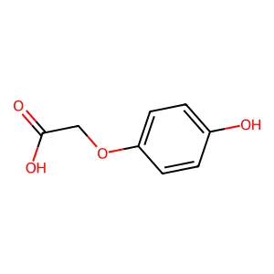 Compound C8H8O4 structure