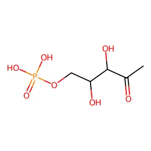 DOXP structure