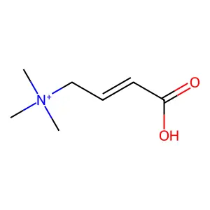 Compound C7H14NO2+ structure