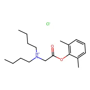 dibutyl-[2-(2,6-dimethylphenoxy)-2-oxoethyl]azanium chloride structure