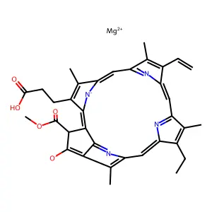 Protochlorophyllide a structure