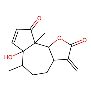Hymenin structure