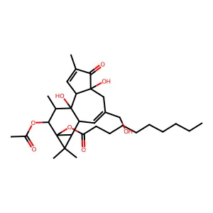 12-o-acetylphorbol-13-decanoate structure