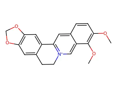 berberine structure