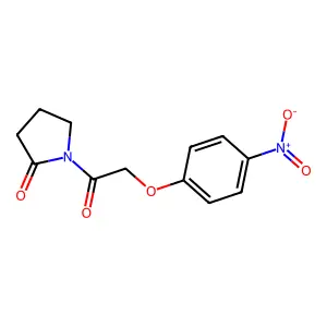 1-[2-(4-nitrophenoxy)acetyl]pyrrolidin-2-one structure