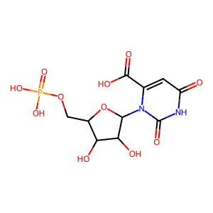 Orotidylic acid structure