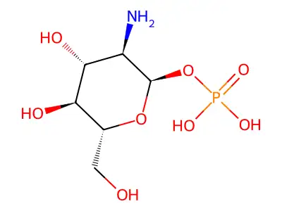 glucosamine-1P structure