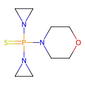 Morzid structure