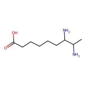 Compound C9H20N2O2 structure