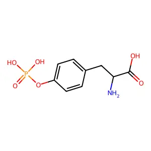 (2S)-2-amino-3-(4-phosphonooxyphenyl)propanoic acid structure