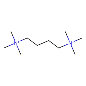 Tetramethonium structure
