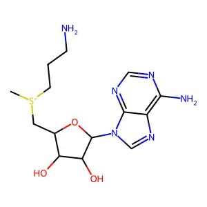 dAdoMet structure