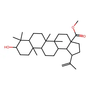 METHYL BETULINATE structure