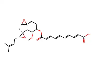 fumagillin structure