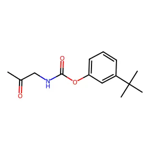 (3-tert-butylphenyl) N-(2-oxopropyl)carbamate structure