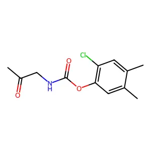 (2-chloro-4,5-dimethylphenyl) N-(2-oxopropyl)carbamate structure
