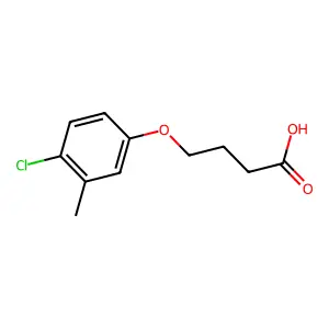Compound C11H13ClO3 structure