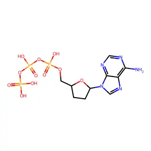 ddATP structure