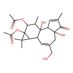 Phorbol 12,13-diacetate structure